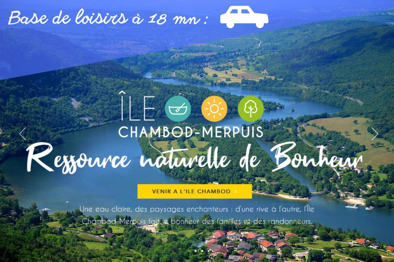 L'Emeraude - 1 A 4P - Wifi Fibre - Parking Gratuit Pont-dʼAin Extérieur photo