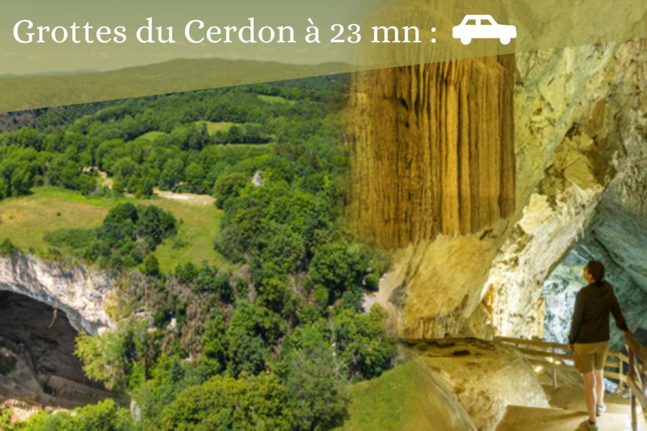 L'Emeraude - 1 A 4P - Wifi Fibre - Parking Gratuit Pont-dʼAin Extérieur photo